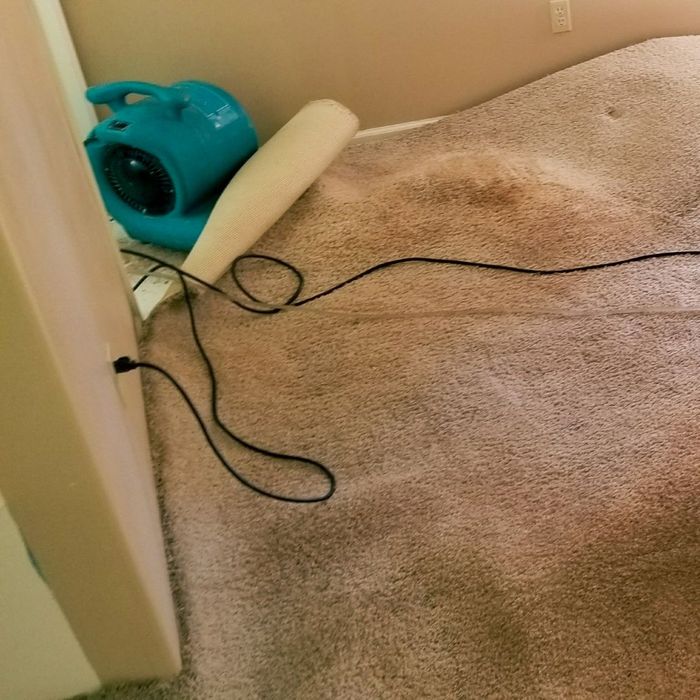 A Look at the Water Damage Restoration Process ProKlean